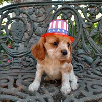 processed/b0233b1b-8e56-4c3e-831d-a63c9ac26648/facility/edf96434-cc4d-419d-801d-ea29e9109b74