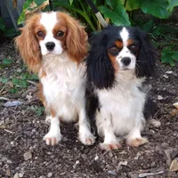 processed/b0233b1b-8e56-4c3e-831d-a63c9ac26648/facility/f2bf34f8-9859-4014-adfc-cccd3ca22fec