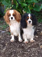 processed/b0233b1b-8e56-4c3e-831d-a63c9ac26648/facility/f2bf34f8-9859-4014-adfc-cccd3ca22fec