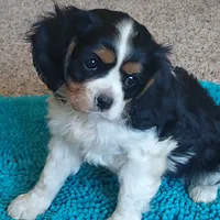 processed/b0233b1b-8e56-4c3e-831d-a63c9ac26648/facility/f35ec068-aa76-45e5-aea8-f6238a811d93