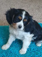 processed/b0233b1b-8e56-4c3e-831d-a63c9ac26648/facility/f35ec068-aa76-45e5-aea8-f6238a811d93