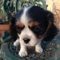 processed/b0233b1b-8e56-4c3e-831d-a63c9ac26648/facility/f917c3c1-ccff-4645-ab1d-a0da9329e01e