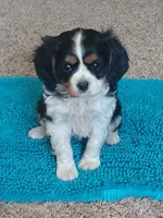 processed/b0233b1b-8e56-4c3e-831d-a63c9ac26648/facility/f976cf38-b74c-4da1-a1c5-a98c3ae13c5c