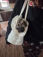 Zoey, a female Pug for sale in Cleveland, OH – 3 of 6