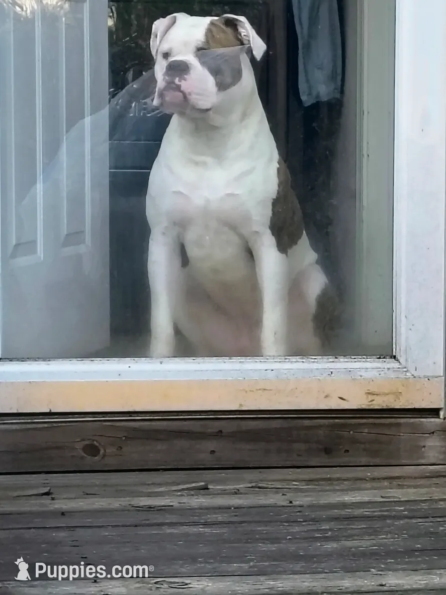 processed/b02efdc1-394e-461a-bcf8-8e6caa922e7a/listing/1d3e7171-8bca-489d-9c8d-5b42462b4595/08d7ef6f-c1ac-497e-8afc-10119566ea2b