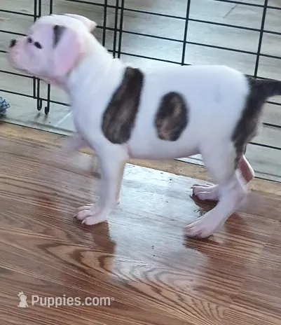 processed/b02efdc1-394e-461a-bcf8-8e6caa922e7a/listing/1d3e7171-8bca-489d-9c8d-5b42462b4595/d396bd75-7745-469d-ae88-7187c77f1574