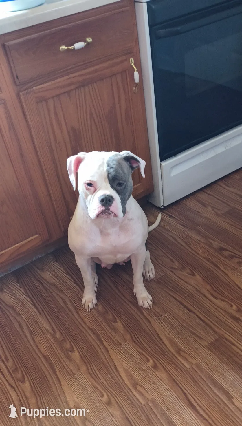 processed/b02efdc1-394e-461a-bcf8-8e6caa922e7a/listing/4c100ea3-76eb-4fbc-a620-928d372ef86d/038b6953-cad7-4409-a428-1f249a3cabef