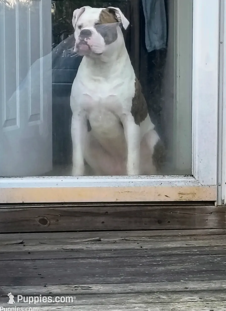 processed/b02efdc1-394e-461a-bcf8-8e6caa922e7a/listing/4c100ea3-76eb-4fbc-a620-928d372ef86d/4f516826-0572-4856-a7b1-2fbadbc5fa6e