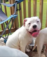 processed/b02efdc1-394e-461a-bcf8-8e6caa922e7a/listing/506516dd-7c65-420d-860a-1c9f319fc3db/66d25305-50e3-4905-af9f-612f60ef9e1e