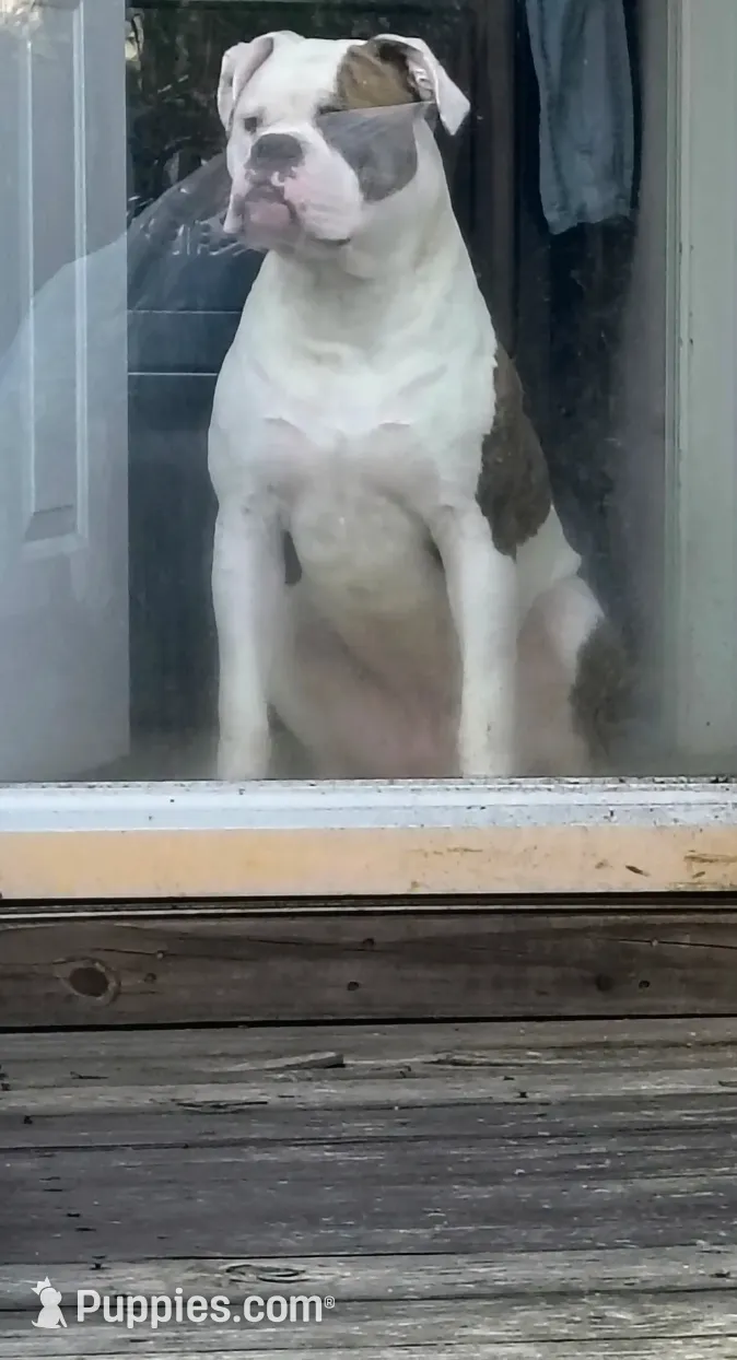 processed/b02efdc1-394e-461a-bcf8-8e6caa922e7a/listing/732ba8e0-0c67-4f37-a51e-b3a824d85752/7424eda8-5cba-442c-bba2-dd54715a9f2d