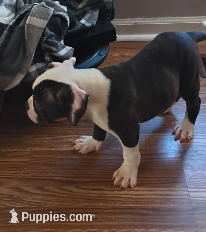 processed/b02efdc1-394e-461a-bcf8-8e6caa922e7a/listing/732ba8e0-0c67-4f37-a51e-b3a824d85752/cfeee5e6-0404-4a33-8ff6-e0e50f8d5240