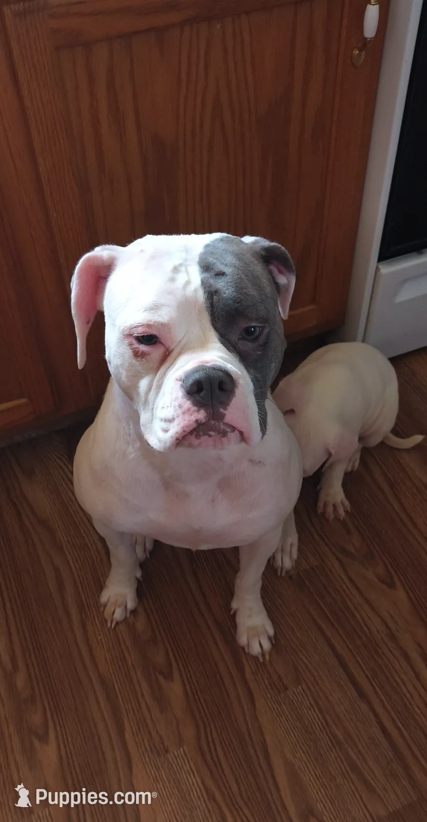 processed/b02efdc1-394e-461a-bcf8-8e6caa922e7a/listing/732ba8e0-0c67-4f37-a51e-b3a824d85752/d9e41022-68d3-44d1-b76f-ebb9fd1db756