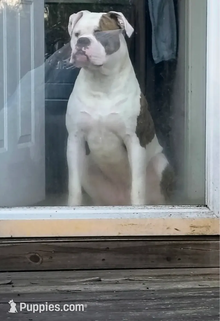 processed/b02efdc1-394e-461a-bcf8-8e6caa922e7a/listing/deb37bdb-fb19-4762-ab8a-235f19b85f37/8b83148f-efed-45f2-988b-01d6928cadad