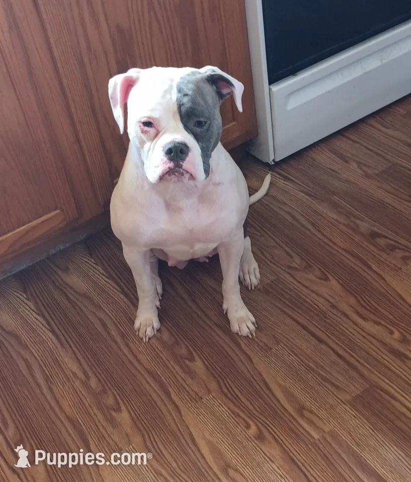 processed/b02efdc1-394e-461a-bcf8-8e6caa922e7a/listing/deb37bdb-fb19-4762-ab8a-235f19b85f37/917f3cb4-0e07-4d41-a90c-64a87a7dc44f