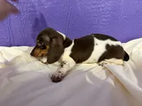 processed/b03d7183-e5f2-4c59-8c63-266e46154791/listing/8a7a6520-b2c7-45b2-bd98-39c3caa1ee81/42a17da6-7620-44ff-95c7-116106d21e39