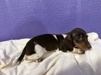 processed/b03d7183-e5f2-4c59-8c63-266e46154791/listing/8a7a6520-b2c7-45b2-bd98-39c3caa1ee81/d836bd1f-ab09-4d60-9d10-0662d17721ba