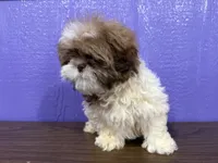 processed/b03d7183-e5f2-4c59-8c63-266e46154791/listing/8d09cb6e-71f0-4e2b-a32a-789fde5fa96b/79f80348-a71d-492f-a0ba-e6bb317af002