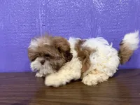 processed/b03d7183-e5f2-4c59-8c63-266e46154791/listing/8d09cb6e-71f0-4e2b-a32a-789fde5fa96b/fbf66f74-2692-4cea-b982-8448cd3e0517