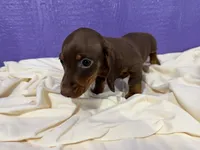 processed/b03d7183-e5f2-4c59-8c63-266e46154791/listing/ad8f7f8a-a4c1-438a-8aff-93c378c4ed20/3c89fbb1-fb1e-4ad6-8437-f9223267c171