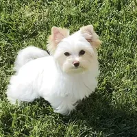 processed/b0420db1-0821-4a5f-acc9-e3a11f3ed353/facility/11c0687f-2cd4-4815-87a1-5dd0dcd3c0c5