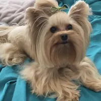 processed/b0420db1-0821-4a5f-acc9-e3a11f3ed353/facility/67c17ebc-7733-48cc-acbd-d741f7961f37