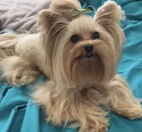 processed/b0420db1-0821-4a5f-acc9-e3a11f3ed353/facility/67c17ebc-7733-48cc-acbd-d741f7961f37