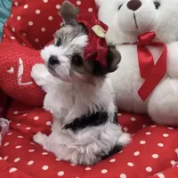 processed/b0420db1-0821-4a5f-acc9-e3a11f3ed353/facility/68fdf434-f76e-4fe7-a9c6-db8e250b5f21