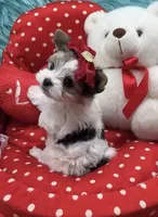 processed/b0420db1-0821-4a5f-acc9-e3a11f3ed353/facility/68fdf434-f76e-4fe7-a9c6-db8e250b5f21