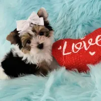 processed/b0420db1-0821-4a5f-acc9-e3a11f3ed353/facility/720da818-f399-4c66-8f7d-c406f92386f7