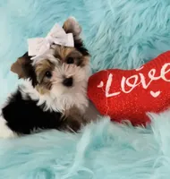 processed/b0420db1-0821-4a5f-acc9-e3a11f3ed353/facility/720da818-f399-4c66-8f7d-c406f92386f7