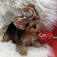 processed/b0420db1-0821-4a5f-acc9-e3a11f3ed353/facility/92926dbf-9cb0-4e99-929a-cf7c12f1a981