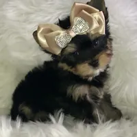 processed/b0420db1-0821-4a5f-acc9-e3a11f3ed353/facility/929b3571-7747-482b-91c8-5b43bb9a4ee1