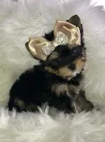 processed/b0420db1-0821-4a5f-acc9-e3a11f3ed353/facility/929b3571-7747-482b-91c8-5b43bb9a4ee1