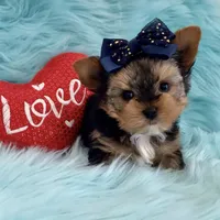 processed/b0420db1-0821-4a5f-acc9-e3a11f3ed353/facility/d12d376f-8e88-4266-8cf6-78adc7577587