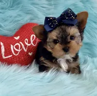 processed/b0420db1-0821-4a5f-acc9-e3a11f3ed353/facility/d12d376f-8e88-4266-8cf6-78adc7577587