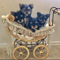 processed/b0420db1-0821-4a5f-acc9-e3a11f3ed353/facility/ff3bab92-2df1-45b8-a742-ac8640b59c37