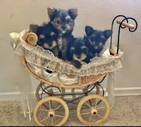 processed/b0420db1-0821-4a5f-acc9-e3a11f3ed353/facility/ff3bab92-2df1-45b8-a742-ac8640b59c37