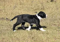 processed/b04ab49f-bf4b-4788-a38d-6500e2a327c8/listing/2a230cc3-0c3c-4b6d-becf-b97ea076f1f3/17719a11-1703-4d38-9100-795e465f64b4