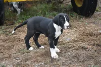 processed/b04ab49f-bf4b-4788-a38d-6500e2a327c8/listing/2a230cc3-0c3c-4b6d-becf-b97ea076f1f3/92d3e6b1-4862-4b60-8e53-e1f6d0353e14