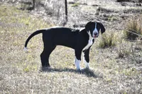 processed/b04ab49f-bf4b-4788-a38d-6500e2a327c8/listing/2a230cc3-0c3c-4b6d-becf-b97ea076f1f3/98c1cd82-b16f-4225-81b2-9550379bfea9