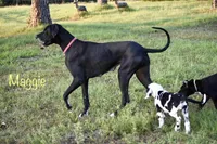 processed/b04ab49f-bf4b-4788-a38d-6500e2a327c8/listing/2a230cc3-0c3c-4b6d-becf-b97ea076f1f3/a1f7fe19-fa88-42ac-be6b-6e7ffcb00e29