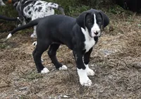 processed/b04ab49f-bf4b-4788-a38d-6500e2a327c8/listing/2a230cc3-0c3c-4b6d-becf-b97ea076f1f3/d43f858a-dd89-4e3e-8265-b299159ae4d1