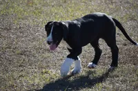 processed/b04ab49f-bf4b-4788-a38d-6500e2a327c8/listing/2a230cc3-0c3c-4b6d-becf-b97ea076f1f3/e7d08e93-a5f5-4c66-8843-51e29aebc634