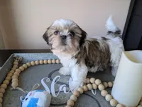 processed/b04b07f8-1f1f-47b8-9bb1-1e513b5d50da/listing/e31ad445-a11c-4148-be3c-6b7aa78c39e9/003cf4e3-7527-483a-bc56-51bf5a47b632