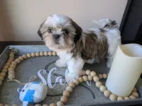 processed/b04b07f8-1f1f-47b8-9bb1-1e513b5d50da/listing/e31ad445-a11c-4148-be3c-6b7aa78c39e9/37aa15a3-01ea-4428-84c3-eb7c8b664325