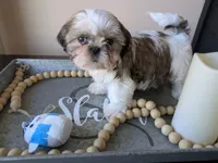 processed/b04b07f8-1f1f-47b8-9bb1-1e513b5d50da/listing/e31ad445-a11c-4148-be3c-6b7aa78c39e9/4de4188d-1734-4a85-b24d-2c22b6cb37e2