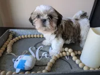 processed/b04b07f8-1f1f-47b8-9bb1-1e513b5d50da/listing/e31ad445-a11c-4148-be3c-6b7aa78c39e9/4e106a01-ec23-412d-acfe-4c0e8d1a99e0