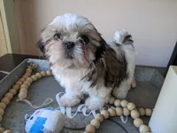 processed/b04b07f8-1f1f-47b8-9bb1-1e513b5d50da/listing/e31ad445-a11c-4148-be3c-6b7aa78c39e9/9ab141fd-f5cc-43a3-b3c2-3882ce65ef59