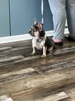 processed/b051518e-0f37-4bae-a70b-86240983bafd/facility/91c74489-898f-429c-9fa8-b4b762a594d7