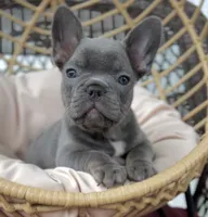 processed/b051518e-0f37-4bae-a70b-86240983bafd/facility/c856ee03-2d71-49ab-9845-74d84317c51c